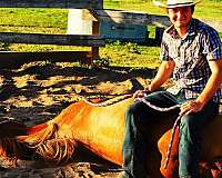 flaxe-horse