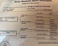 foundation-rocky-mountain-horse