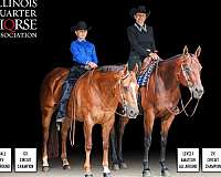 horsemanship-quarter-horse