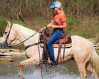 beginner-quarter-horse