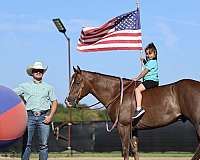 ranch-versatility-quarter-horse