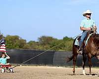 ranch-work-quarter-horse