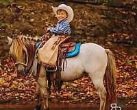 athletic-miniature-pony