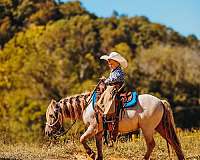 barrel-racing-miniature-pony