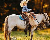 jumper-miniature-pony
