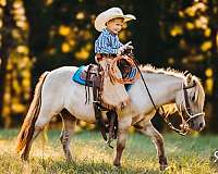 kid-safe-miniature-pony