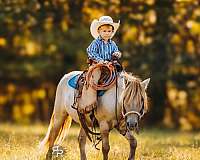 parade-miniature-pony