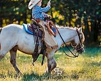 pole-miniature-pony