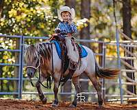 ranch-work-miniature-pony
