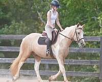 husband-safe-draft-horse