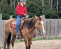 blaze-horse