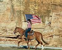 ridden-western-draft-horse