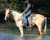 barrel-racing-quarter-horse