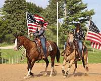 athletic-paint-horse