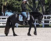 kid-safe-fell-pony