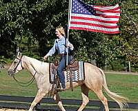 aqha-quarter-horse