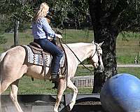 flashy-quarter-horse