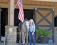 athletic-quarter-horse
