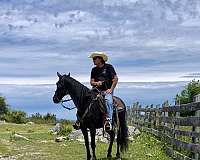 black-rocky-mountain-for-sale