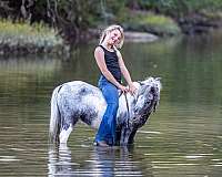 action-pony