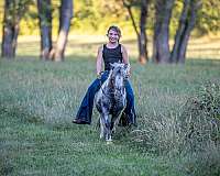app-pony-gelding