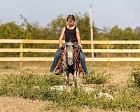 all-pony