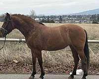 bay-dun-ancce-pre-mare
