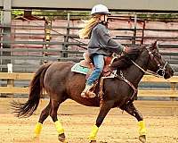 beginner-pony