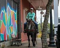 ranch-work-quarter-horse