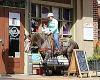 family-horse-quarter