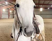 beginner-pony