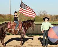 ranch-work-quarter-horse