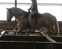team-driving-draft-horse