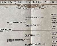 barrel-racing-quarter-horse