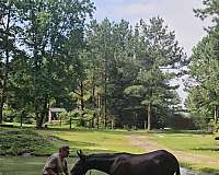 quick-learner-mule