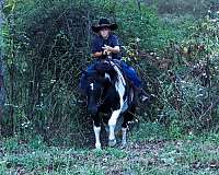 beginner-pony