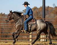 trail-riding-quarter-horse