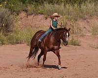 ranch-work-quarter-horse