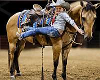 kid-safe-quarter-horse