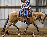 ranch-versatility-quarter-horse