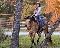 trail-riding-quarter-horse