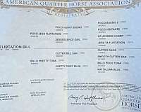 all-around-quarter-horse
