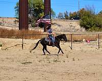 beginner-pony