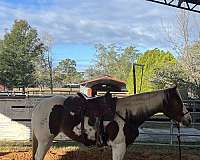 ride-a-mare