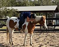 4-hand-tobiano-horse
