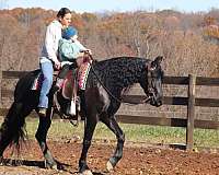 black-none-horse