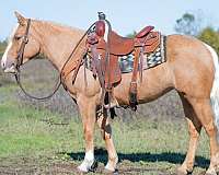 beginner-pony