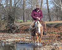 ranch-work-pony