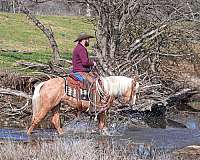 ranch-pony