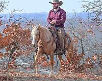 roping-pony